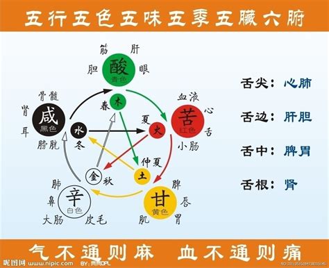 中醫五行|中医基础理论之五行学说